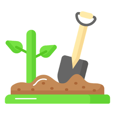 Plantation / Forest
